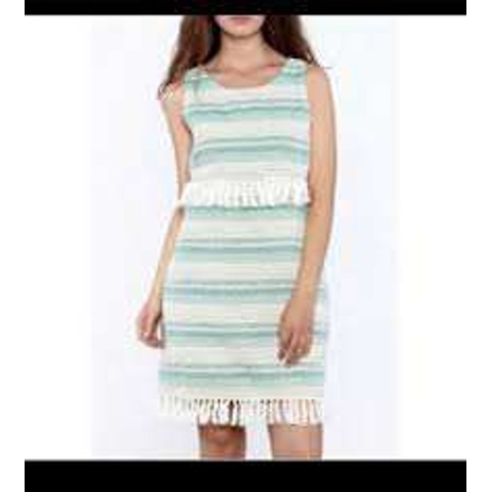 cupcakes and cashmere Mini Dress Women Small Green Striped Fringe Boho Southwest